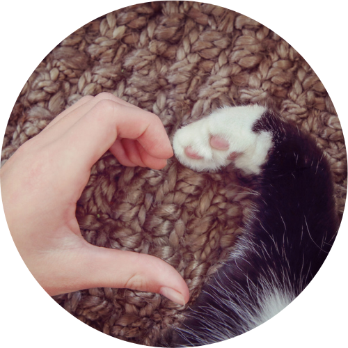 Cat heart - circle Suus Bettink